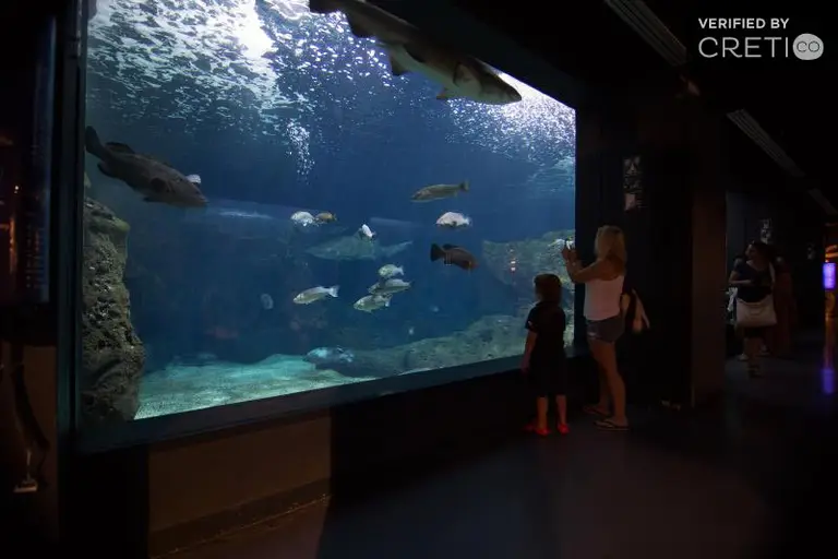 The Cretaquarium, one of the Highlights of Heraklion