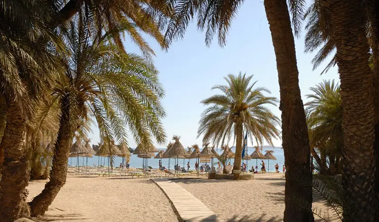 The Palm Forest in Vai Beach