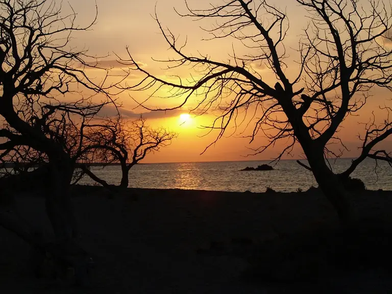 The amazing sunset in Chrissi