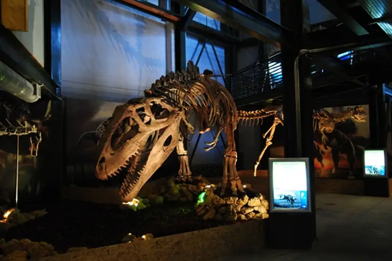 THE Natural History Museum of Crete