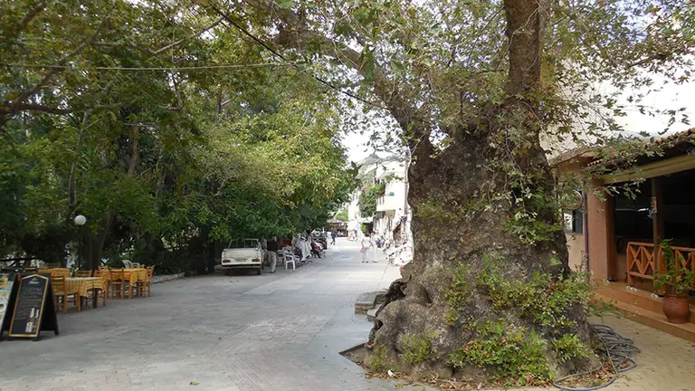 Rest in the square of Fodele