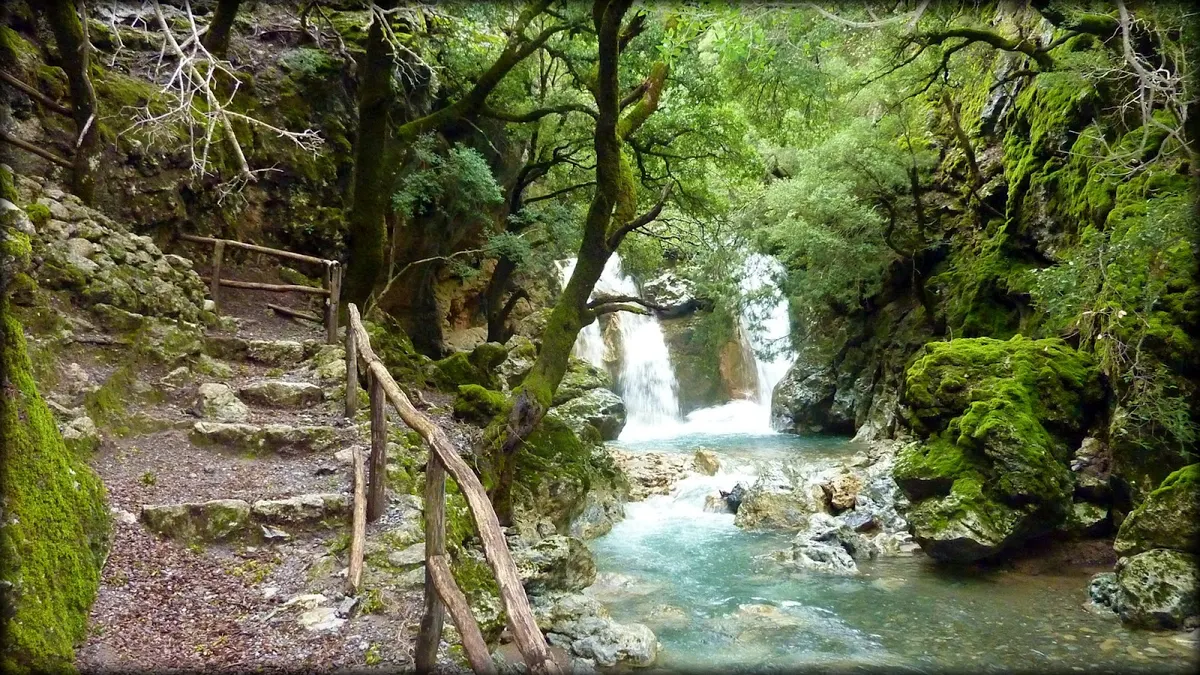 Rouvas Forest in Heraklion